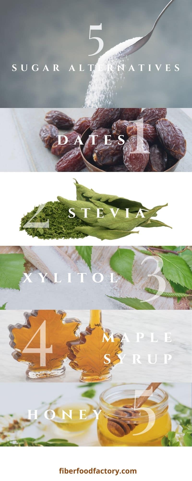 5 sugar alternatives as images, dates, stevia, xylitol, maple syrup and honey.