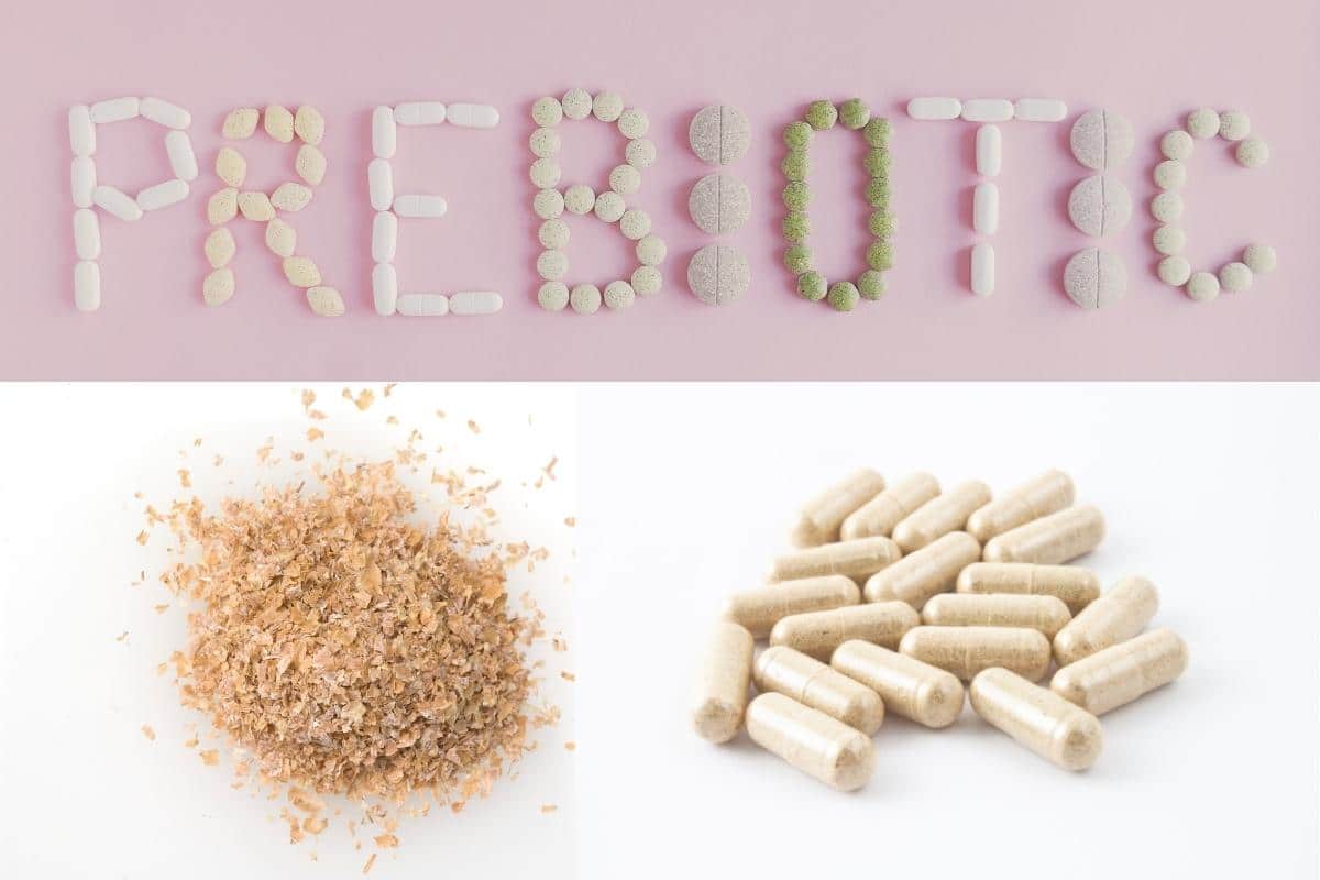 fiber supplements as capsules and powder.